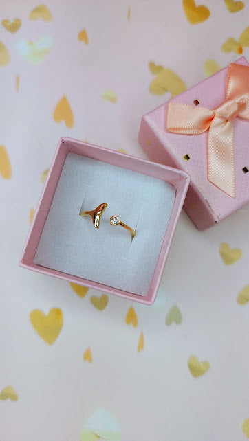 Anillo Colita De Ballena Bisel De Oro 10K